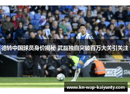 德转中国球员身价揭秘 武磊独自突破百万大关引关注