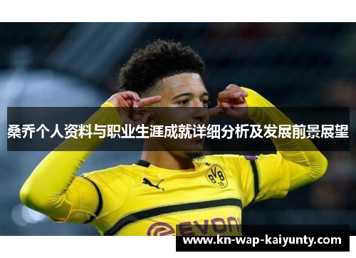 桑乔个人资料与职业生涯成就详细分析及发展前景展望