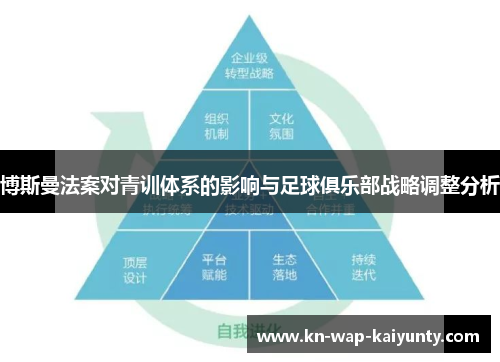 博斯曼法案对青训体系的影响与足球俱乐部战略调整分析