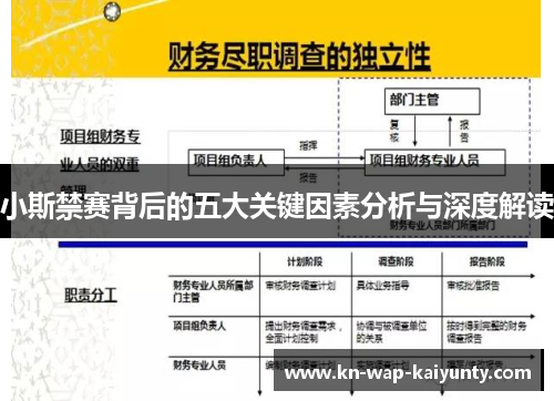 小斯禁赛背后的五大关键因素分析与深度解读