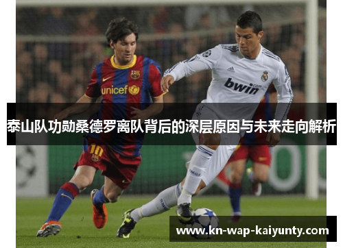 泰山队功勋桑德罗离队背后的深层原因与未来走向解析