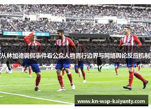 从林加德调侃事件看公众人物言行边界与网络舆论反应机制