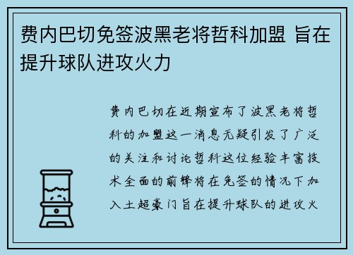 费内巴切免签波黑老将哲科加盟 旨在提升球队进攻火力